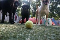 daycare pic 78 - play time